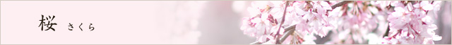 桜
