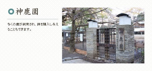 神鹿園