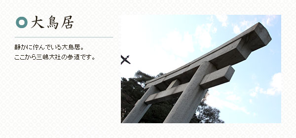 大鳥居