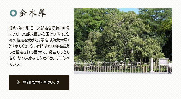 金木犀